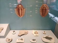 -湖南省地质博物馆