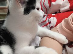 -美迦爱-牙专科·兔科·骨科诊疗中心(北苑店)