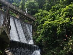 -湖南四明山国家森林公园