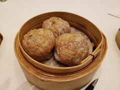 -美心皇宫(屯门大会堂店)