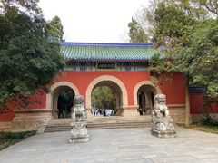 -灵谷景区