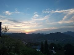 -重庆睡佛山森林公园