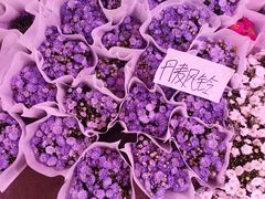 -花鸟鱼虫鲜花绿植市场(玉泉路店)