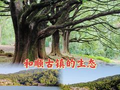-和顺古镇