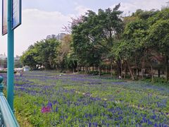 -龙凤山庄影视度假村