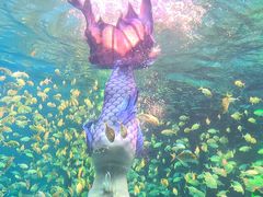 -海合安青岛极地海洋公园
