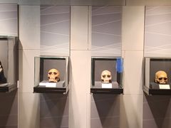-北京周口店北京人遗址博物馆