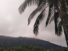 -呀诺达热带雨林