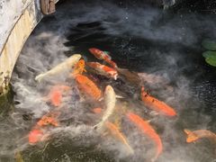 -凤凰山斑鱼馆(恭城店)