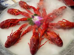 -京悦南门涮羊肉·羊蝎子火锅(田林路店)