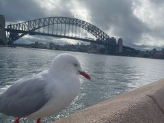 -悉尼海港大桥