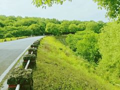 -南京市江宁方山