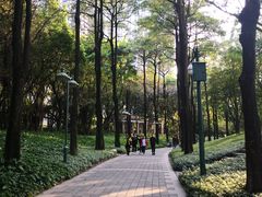 -广州珠江公园