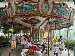 -南宫五洲植物乐园