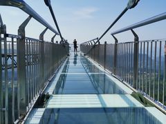 -梦幻奥陶纪景区