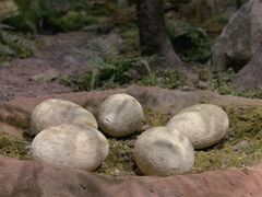 -湖南省地质博物馆