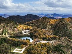 -四明山国家森林公园