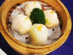 -金龙寨(龙城路店)