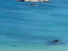 -坛南湾阿强农家乐.海鲜大排档老字号(福州地标美食店)
