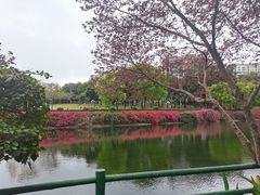 -深圳龙潭公园