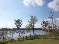 -上海长兴岛郊野公园