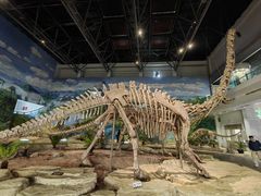 -自贡恐龙博物馆