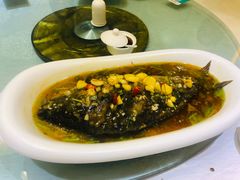 黄河大鲤鱼-华宇清真美食