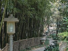 -广州兰圃