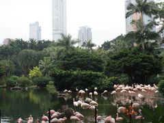 -九龙公园