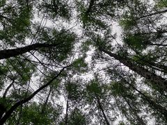 -帽儿山漂流