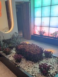 -琦品高端美容SPA私佳美场