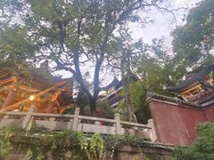 -武昌中华路码头(轮渡站)