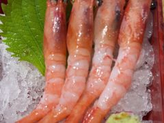 -有喜屋·日料·居酒屋(旭辉广场店)