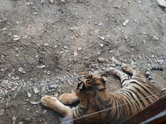 -栾川竹海野生动物园