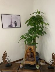 -馨媛瑜伽普拉提