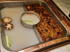 鱼火锅-新辣道鱼火锅(领展购物广场·中关村店)