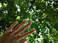 -艾溪湖湿地公园