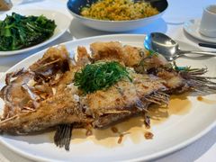 -金悦轩海鲜城(渔人码头店)
