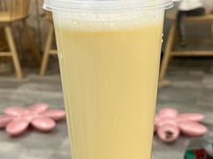 -楼上猫咖(罗湖店)