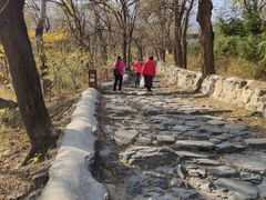 -阳台山自然风景区