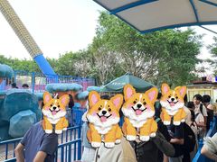 -厦门方特梦幻王国