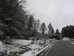 -川味中国寻香馆(琴台路店)