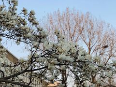 -大连理工大学(凌水校区)