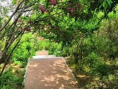 -黑石礁公园