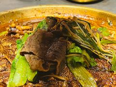 -小牛哈尼章鱼水煎肉(金鹰店)