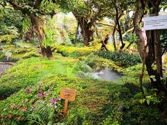 景观位-Chom Cafe and Restaurant