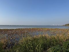 -阳澄湖半岛旅游度假区