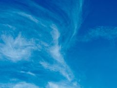 -星巴克(深圳音乐厅店)