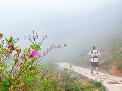 -广州市石门国家森林公园