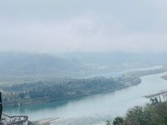 -张醪糟